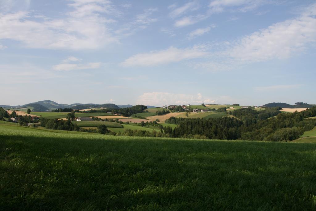 Kirchenwirt Inn Kreuzen  Zewnętrze zdjęcie